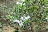 232 Wright Cemetery Rd - Photo 18