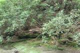 232 Wright Cemetery Rd - Photo 19