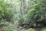 232 Wright Cemetery Rd - Photo 20