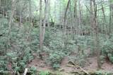 232 Wright Cemetery Rd - Photo 24