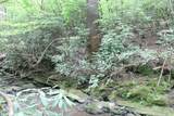 232 Wright Cemetery Rd - Photo 32