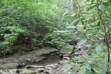 232 Wright Cemetery Rd - Photo 34