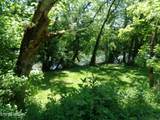 0 Kyles Ford Rd Rd - Photo 12