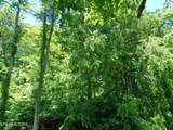 0 Kyles Ford Rd Rd - Photo 4