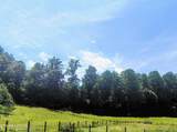 138 Stooksbury Lane - Photo 8