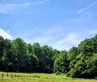 138 Stooksbury Lane - Photo 9