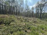  Douglas Lane - Photo 10