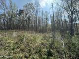  Douglas Lane - Photo 11