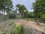  Sheep Ranch Rd - Photo 3