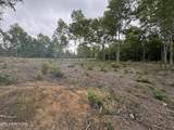 Sheep Ranch Rd - Photo 5