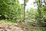  Shady Valley Rd - Photo 24
