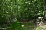  Shady Valley Rd - Photo 6