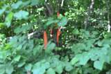 5ac Dynamite Lane - Photo 14