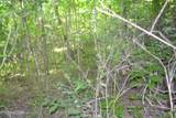 5ac Dynamite Lane - Photo 15