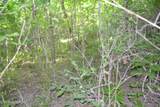 5ac Dynamite Lane - Photo 16