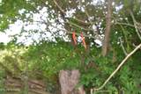 5ac Dynamite Lane - Photo 20