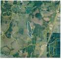5ac Dynamite Lane - Photo 28