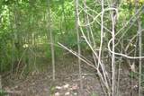 5ac Dynamite Lane - Photo 7