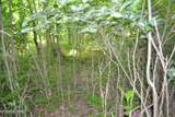 5ac Dynamite Lane - Photo 8