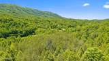  Old Chilhowee Tract 3 Rd - Photo 12
