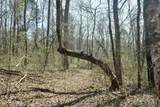 3578 Wolf Creek Rd - Photo 9