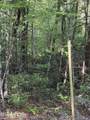 Lot 6 Walnut Flats Rd - Photo 1