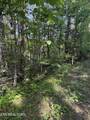 Lot 6 Walnut Flats Rd - Photo 2