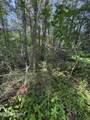 Lot 6 Walnut Flats Rd - Photo 3