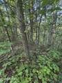 Lot 6 Walnut Flats Rd - Photo 4