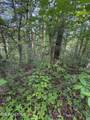 Lot 6 Walnut Flats Rd - Photo 5