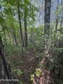 Lot 6 Walnut Flats Rd - Photo 6