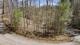 272 Cove Hollow Rd - Photo 4