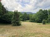  Old Chilhowee Tract 1 Rd - Photo 18