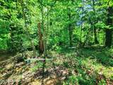  Evergreen Cove - Photo 17
