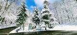  Evergreen Cove - Photo 32