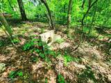  Evergreen Cove - Photo 38