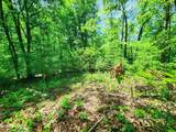  Evergreen Cove - Photo 40
