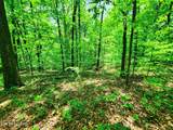  Evergreen Cove - Photo 42