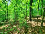  Evergreen Cove - Photo 43