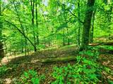  Evergreen Cove - Photo 45