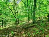  Evergreen Cove - Photo 46