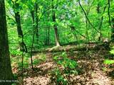  Evergreen Cove - Photo 48
