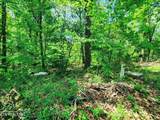  Evergreen Cove - Photo 5