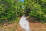 21+/- Acre County Road 675 - Photo 19