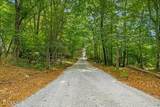 21+/- Acre County Road 675 - Photo 6