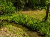 Lot 3 Knob Creek Rd - Photo 13