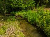 Lot 3 Knob Creek Rd - Photo 14