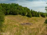 Lot 3 Knob Creek Rd - Photo 15