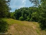 Lot 3 Knob Creek Rd - Photo 16