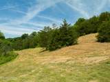 Lot 3 Knob Creek Rd - Photo 9